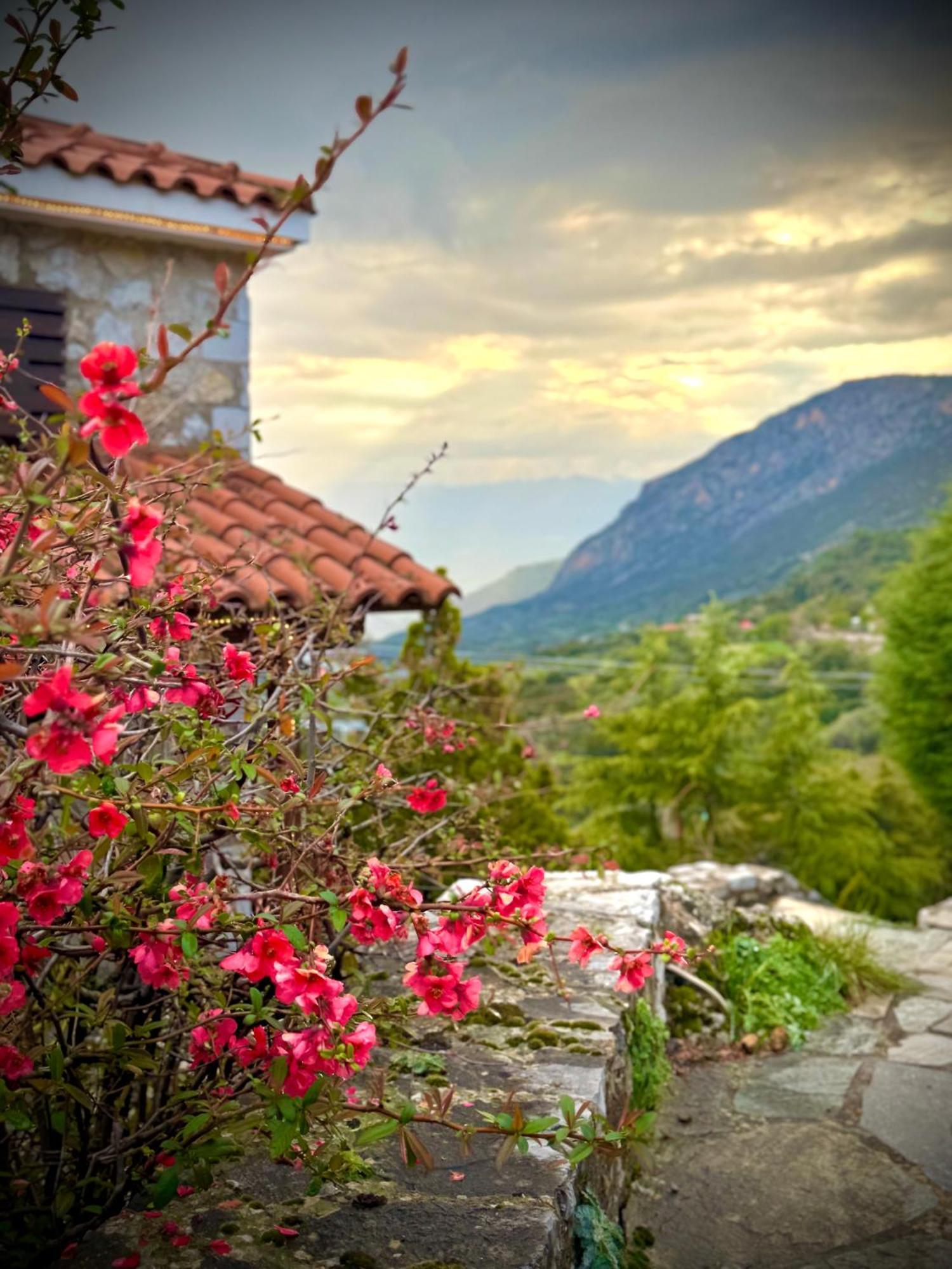 Rock Dandy Deluxe Chalet In Arachova - Delphi, Sauna, Prv Parking, Amazing View Luaran gambar